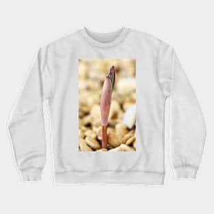 Polygonatum cirrhifolium Crewneck Sweatshirt